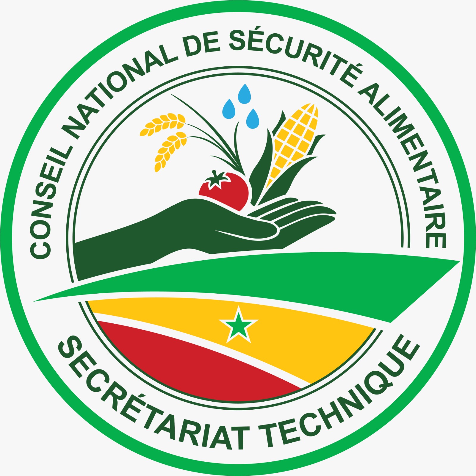 Logo CSA